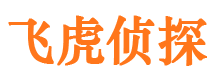 鸡东市侦探公司